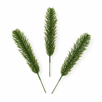 Crenguțe artificiale de pin verde pentru Crăciun, pe fundal de studio alb pur